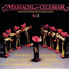 Download track Chapala Mariachi Estelar Guadalajara