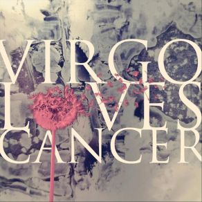 Download track Stupid In Love Virgo Loves Cancer