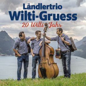 Download track Irland Wilti-Gruess