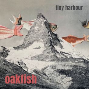 Download track Closer To The Clouds Oakfish