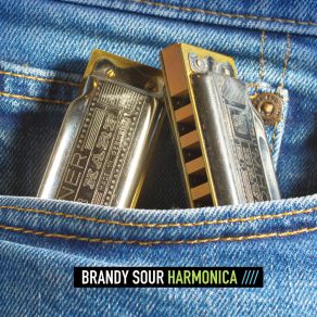 Download track Harmonica Sour Brandy