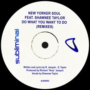 Download track Do What You Want To Do (Hypnotik Mix) Shawnee Taylor