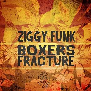 Download track Colour Me Brown Ziggy Funk