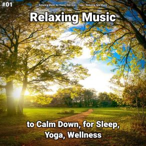 Download track Relaxing Music Part 33 Relaxing Spa Music