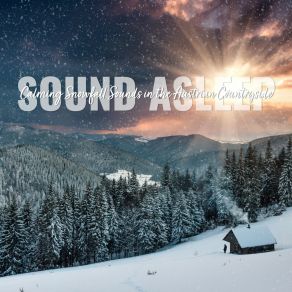 Download track Calming Snowfall Sounds In The Austrian Countryside, Pt. 2 Elijah Wagner