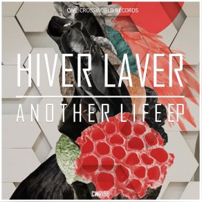 Download track Another Life (Original Mix) Hiver Laver