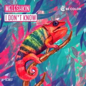 Download track I Dont Know (Original Mix) Meleshkin