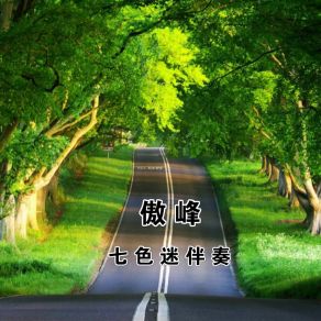 Download track 七色迷音乐1 傲峰