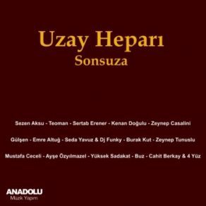 Download track Istersen Uzanabilirsin Zeynep Tunuslu