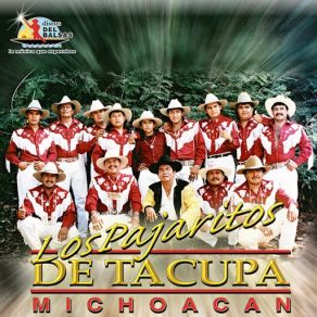 Download track El Vicio De Quererte Los Pajaritos De Tacupa Michoacan