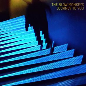 Download track Time Storm The Blow Monkeys