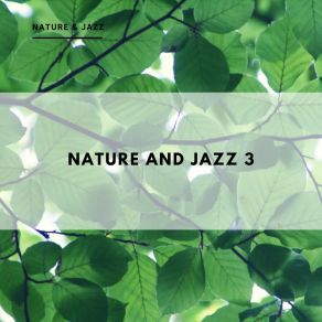 Download track Chill Out Bath THE NATURE