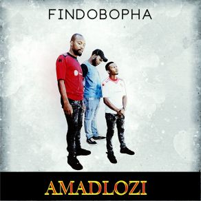 Download track Amadlozi FindobophaBon Ami