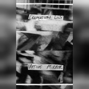 Download track Seven Years Old Cremation Lily