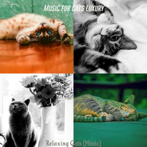 Download track Nurturing (Relaxing Cats) Music For