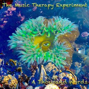 Download track The 50s The Music Therapy Experiment