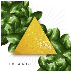 Download track Fugere Solarium Triangle Lemon