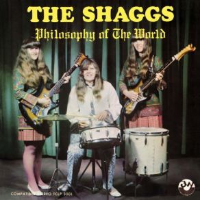 Download track My Pal Foot Foot The Shaggs