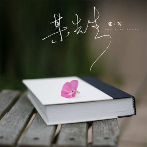 Download track 某先生 (伴奏) 张茜