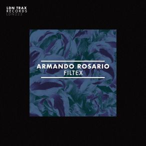 Download track Reday (Original Mix) Armando Rosario