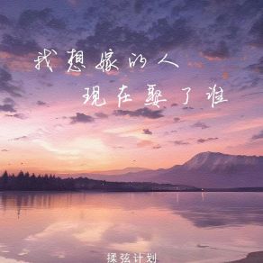 Download track 我想嫁给的人娶了谁 揉弦计划