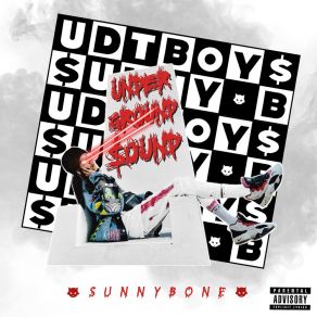 Download track Do It Sunnybone