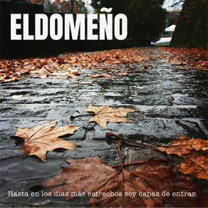 Download track El Vuelo Eldomeño