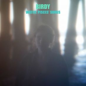 Download track All You Never Say Birdy