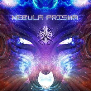 Download track Rebirth (Original Mix) Auruma