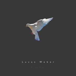 Download track Fly Over The Ocean Lucas Weber