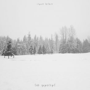 Download track I Am Canopy Retreat