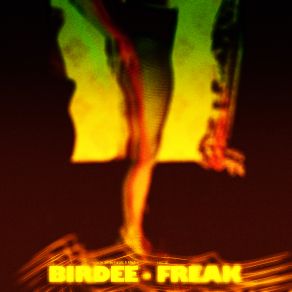 Download track Freak (MIX)  Birdee