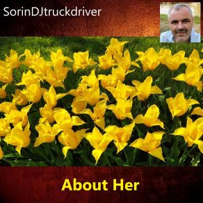 Download track Giving Flowers To Anna SorinDJtruckdriver