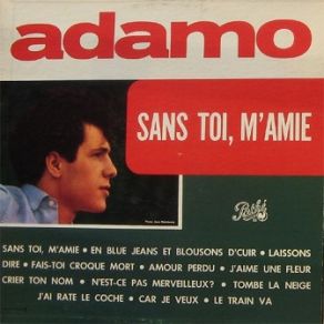 Download track J'aime Une Fleur Salvatore Adamo