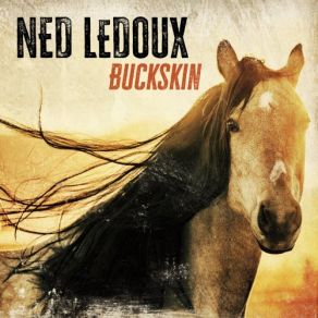 Download track This Ain't My First Rodeo Ned LeDoux