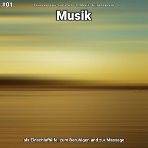 Download track Musik Teil 1 Entspannungsmusik