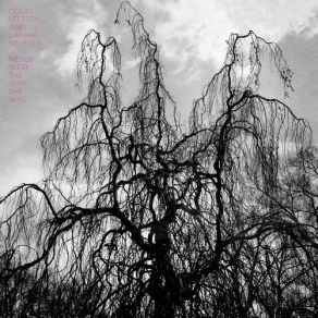 Download track The Sun Roars Into View Colin Stetson, Sarah Neufeld