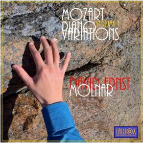 Download track Mozart 12 Variations In C-Major On Ah, Vous Dirais-Je Maman, K. 265 David Ernst Molnar