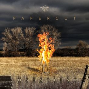 Download track Harvesting Sunlight PAPERCUT