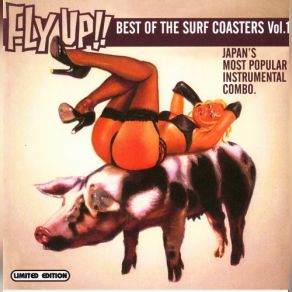 Download track Fly Up (Live) Surf Coasters