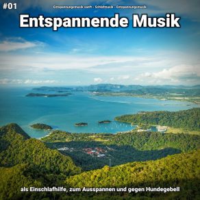 Download track Entspannende Musik Pt. 61 Entspannungsmusik