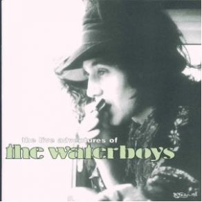 Download track The Earth Only Endures The Waterboys