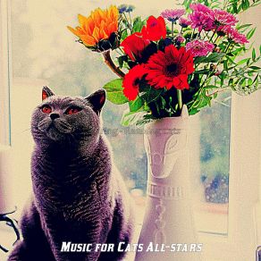 Download track Joyful (Music) Music For Cats All-StarsThe Music