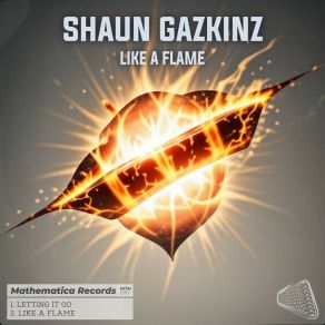 Download track Letting It Go (Original Mix) Shaun Gazkinz