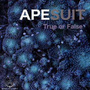 Download track True Or False ApeSuit