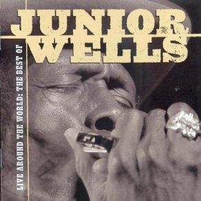 Download track Hoo Doo Man Junior Wells