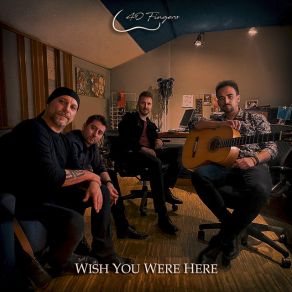 Download track Wish You Were Here 40 Fingers