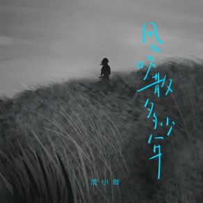 Download track 风儿吹散多少年 (伴奏) 沈小晔