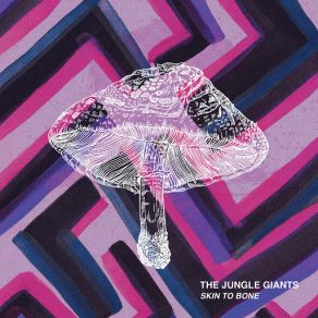 Download track Skin To Bone The Jungle Giants