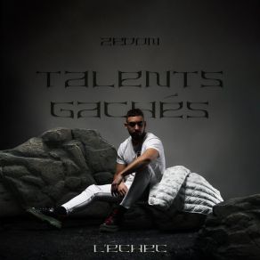 Download track V'la Les Trucs Zedon